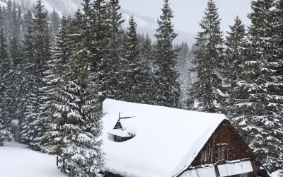 Heat, Don’t Fail Me Now! How to avoid a midseason, no-heat, emergency